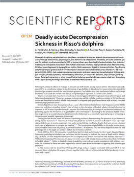 Deadly Acute Decompression Sickness in Risso's Dolphins