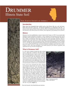 Drummer Illinois State Soil