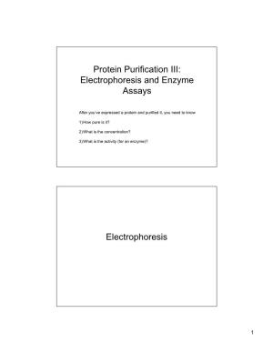 Protein Purification III: Electrophoresis and Enzyme Assays Electrophoresis