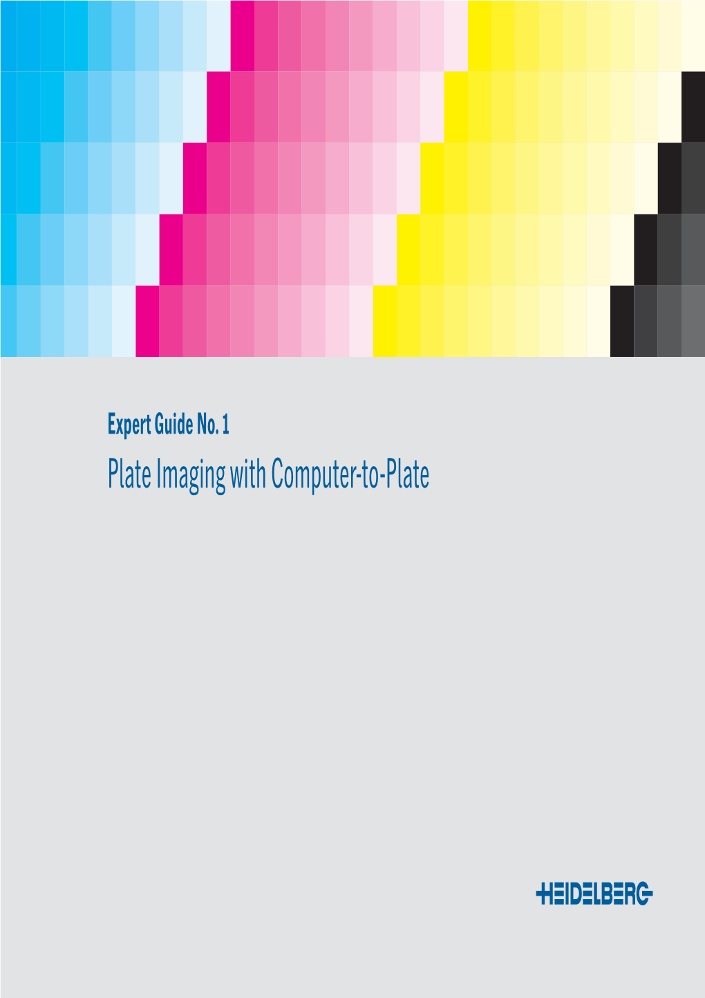 Plate Imaging with Computer-To-Plate