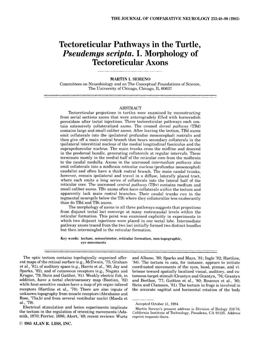 Tectoreticular Pathwayis in the Turtle, Pseudemys Scripta. I. Morphology of Tectoreticular Axons