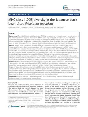 MHC Class II DQB Diversity in the Japanese Black Bear, Ursus Thibetanus Japonicus