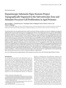 Dopaminergic Substantia Nigra Neurons Project Topographically Organized to the Subventricular Zone and Stimulate Precursor Cell Proliferation in Aged Primates