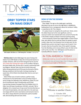 Orby Topper Stars on Naas Debut Cont