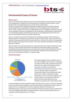 Environmental Causes of Cancer