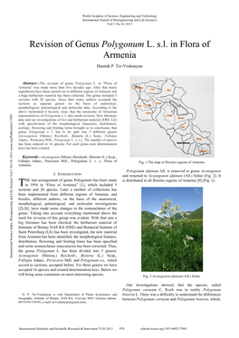 Revision of Genus Polygonum L. S.L. in Flora of Armenia Hasmik P