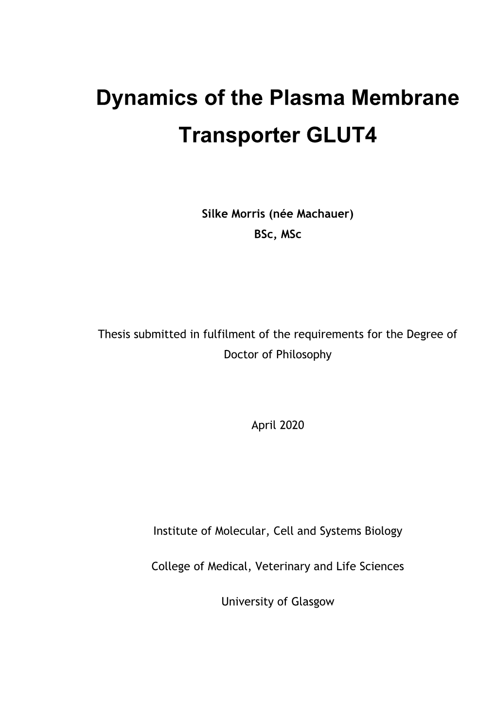 Dynamics of the Plasma Membrane Transporter GLUT4