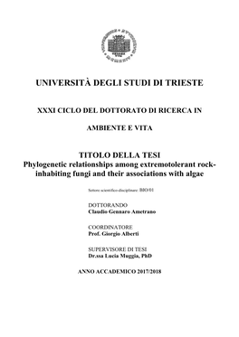 Università Degli Studi Di Trieste Xxxi Ciclo Del