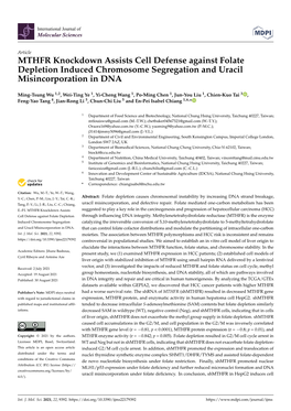 MTHFR Knockdown Assists Cell Defense Against Folate Depletion Induced Chromosome Segregation and Uracil Misincorporation in DNA