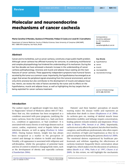 Molecular and Neuroendocrine Mechanisms of Cancer Cachexia