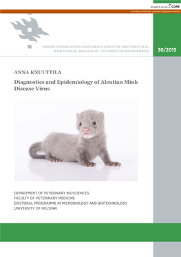 Diagnostics and Epidemiology of Aleutian Mink Disease Virus 30