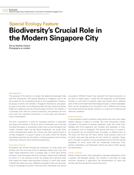 Biodiversity's Crucial Role in the Modern Singapore City