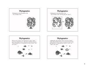 Phylogenetics Phylogenetics Phylogenetics Phylogenetics