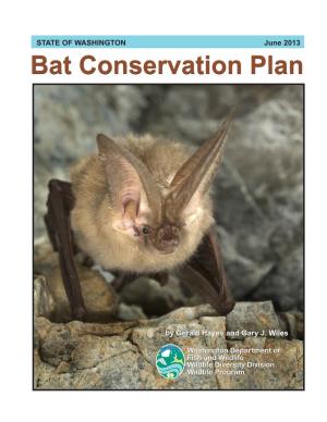 Bat Conservation Plan