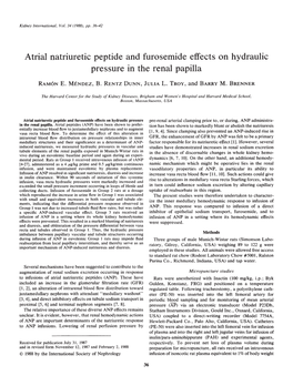 Atrial Natriuretic Peptide and Furosemide Effects on Hydraulic Pressure in the Renal Papilla