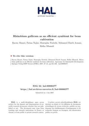 Rhizobium Gallicum As an Efficient Symbiont for Bean