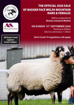 THE OFFICIAL 2020 SALE of BADGER FACE WELSH MOUNTAIN RAMS & FEMALES Will Be Conducted at Brecon Livestock Market