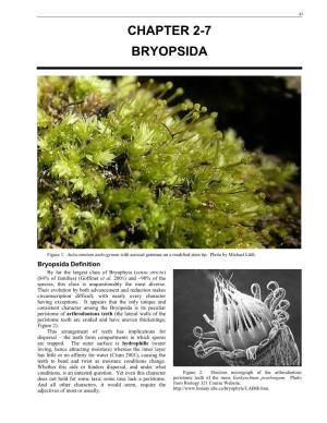 Chapter 2-7 Bryopsida
