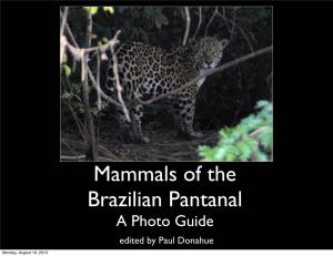 Mammals of the Brazilian Pantanal a Photo Guide Edited by Paul Donahue