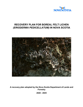 Recovery Plan for Boreal Felt Lichen (Erioderma Pedicellatum) in Nova Scotia