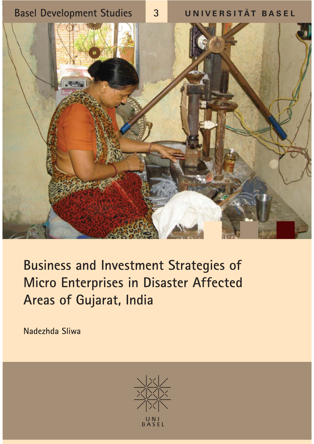 Business and Investment Strategies of Micro Enterprises in Disaster Affected Areas of Gujarat, India