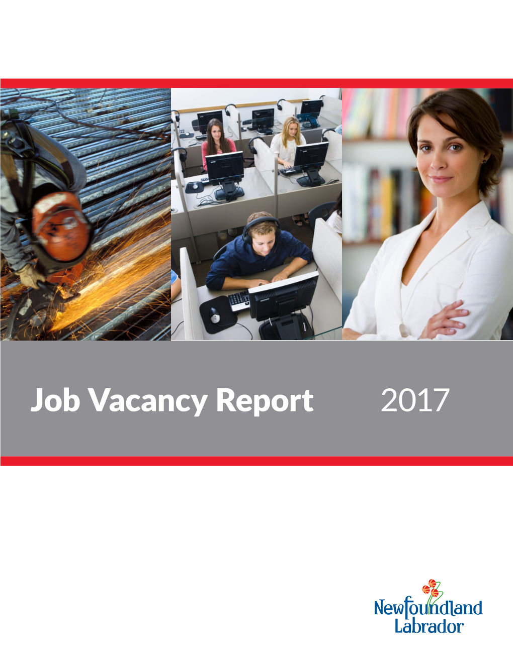 Job Vacancy Report 2017