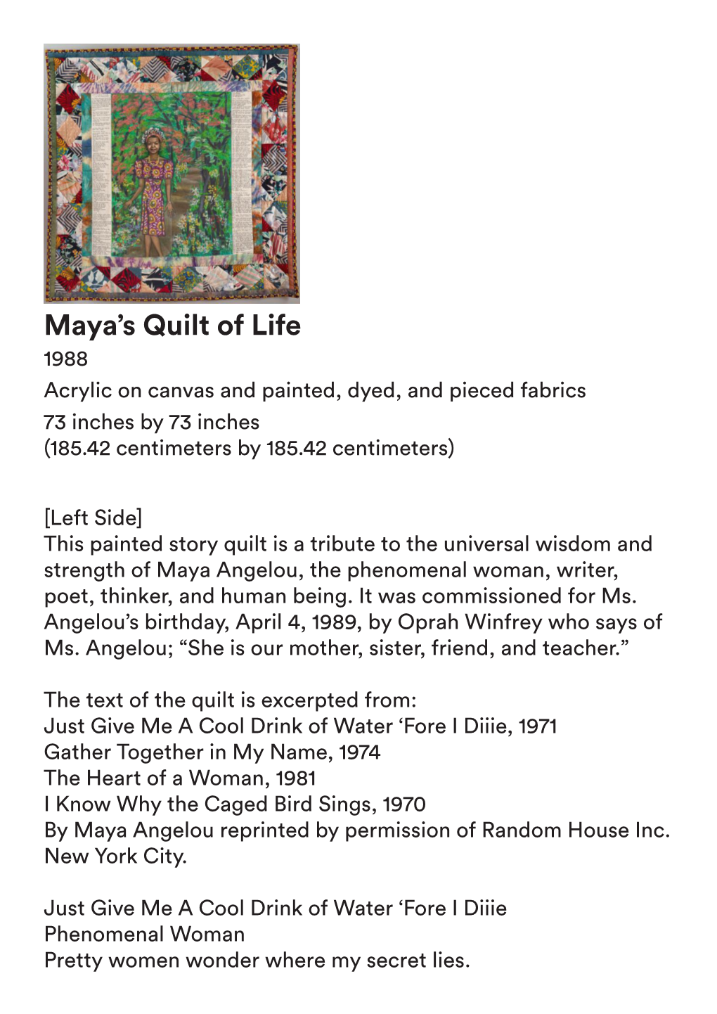Maya's Quilt of Life