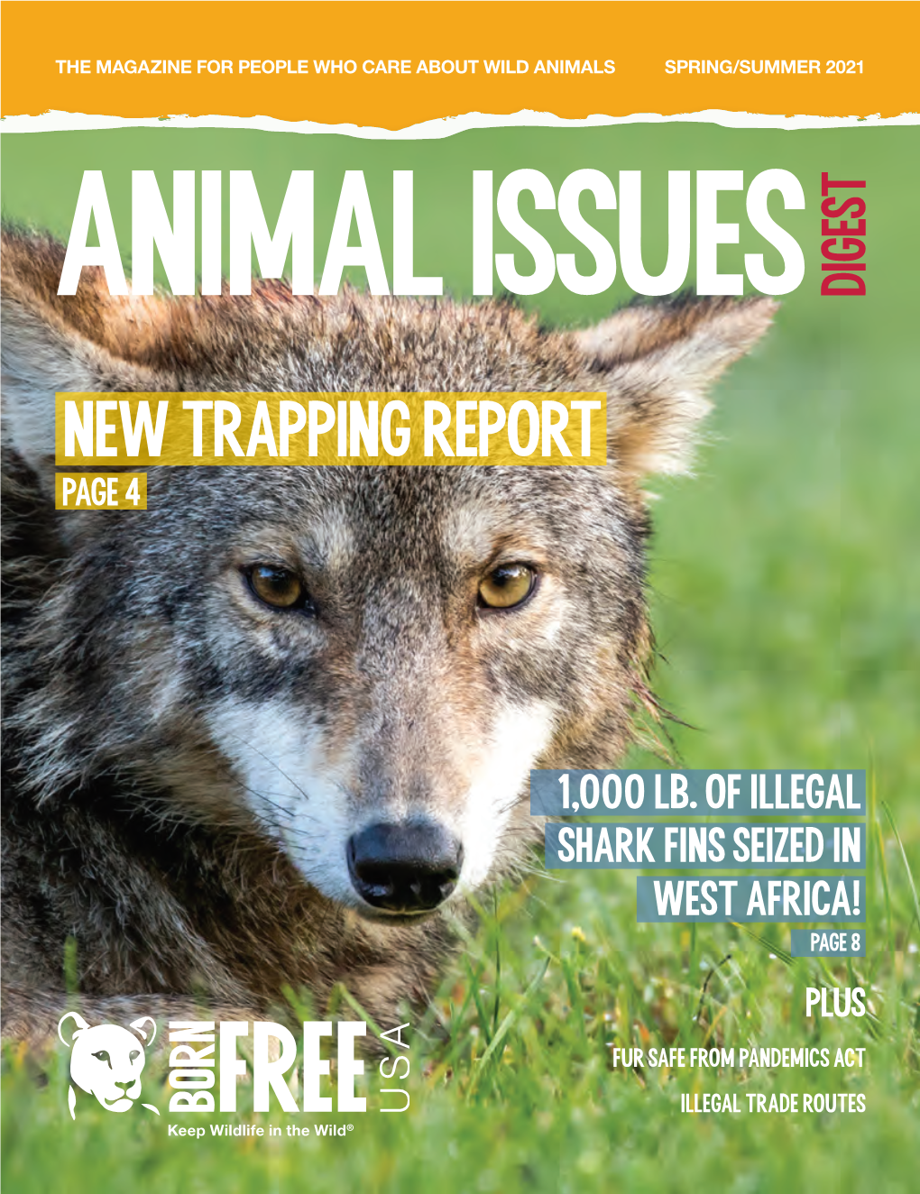 New Trapping Report Page 4