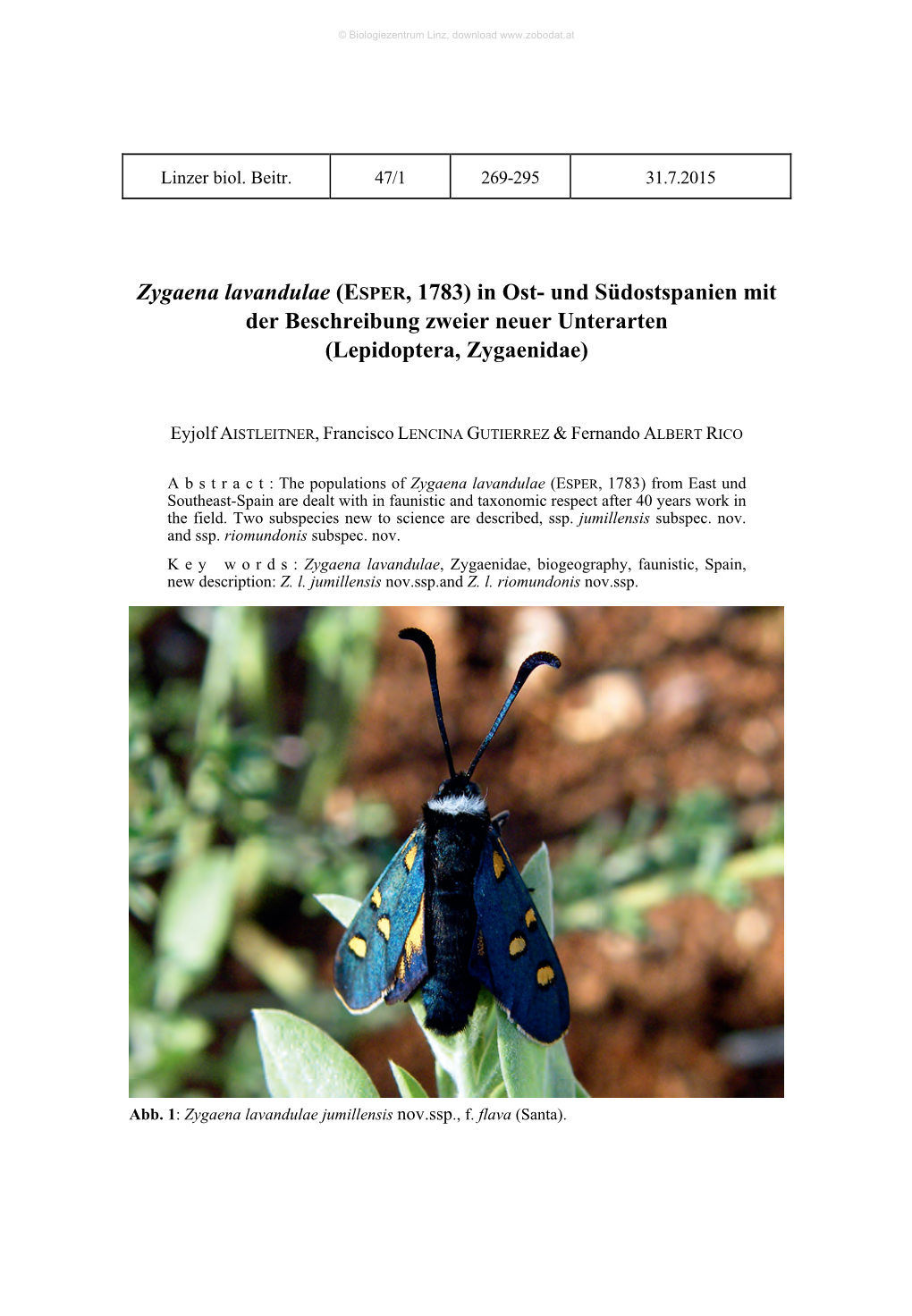 Zygaena Lavandulae (ESPER, 1783) in Ost- Und Südostspanien Mit Der Beschreibung Zweier Neuer Unterarten (Lepidoptera, Zygaenidae)