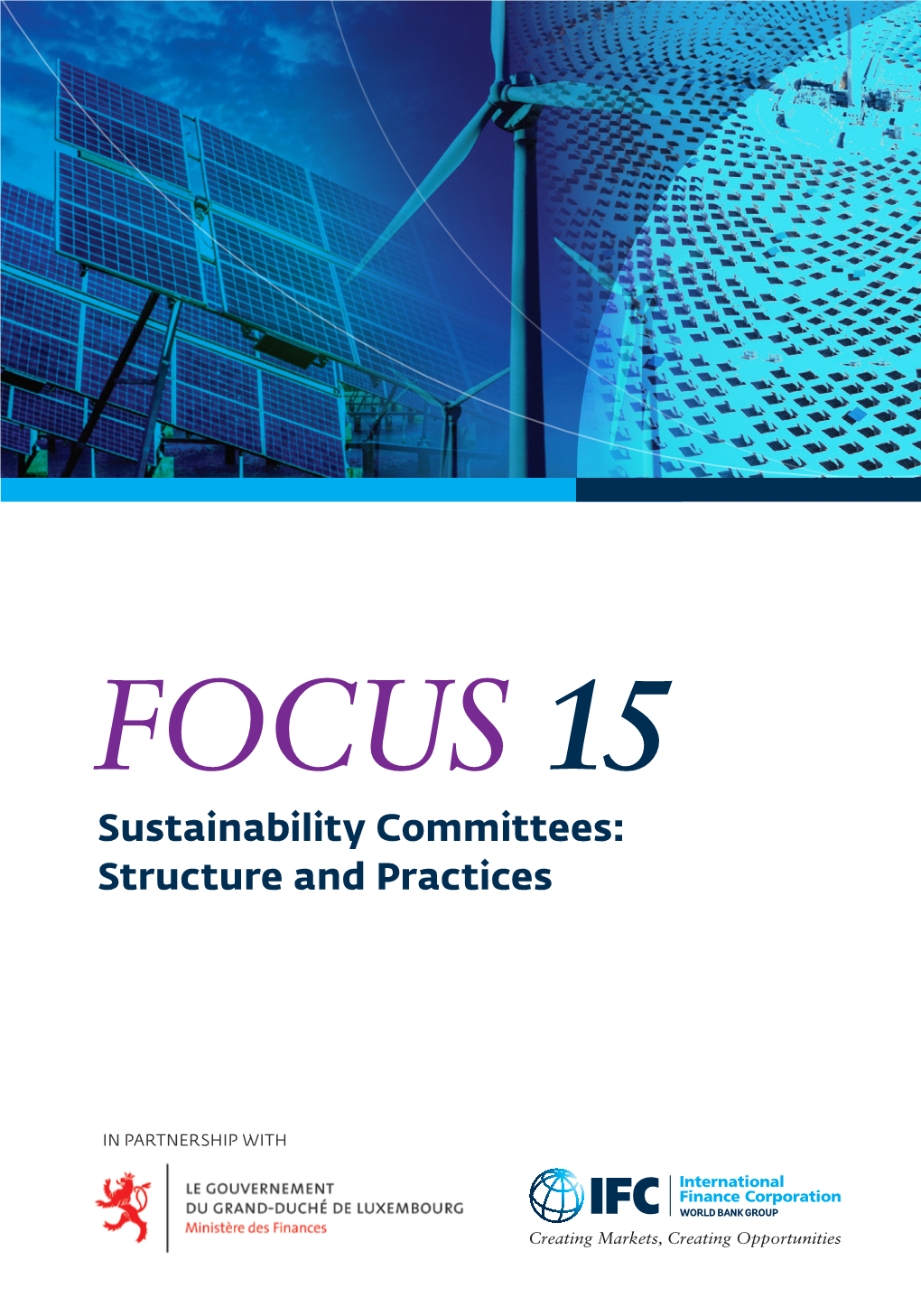 FOCUS 15 Sustainability Committees: Structure and Practices
