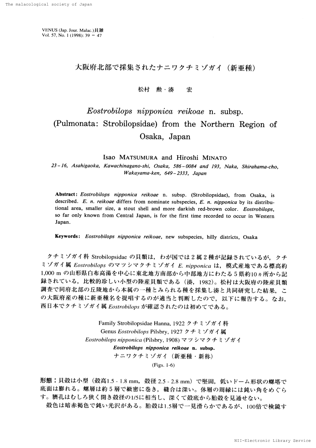 Pulmonata ： Strobilopsidae ）From the Northern Region of Osaka