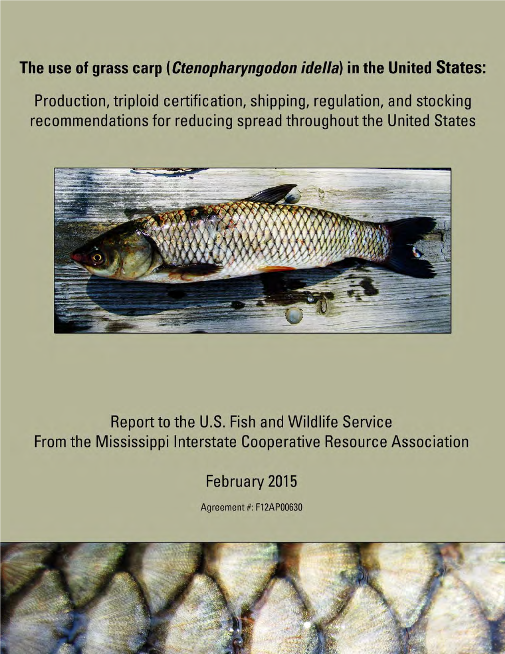 National Analysis of Grass Carp (Ctenopharyngodon Idella) Regulation, Production, Triploid Certification, Shipping, and Stocking