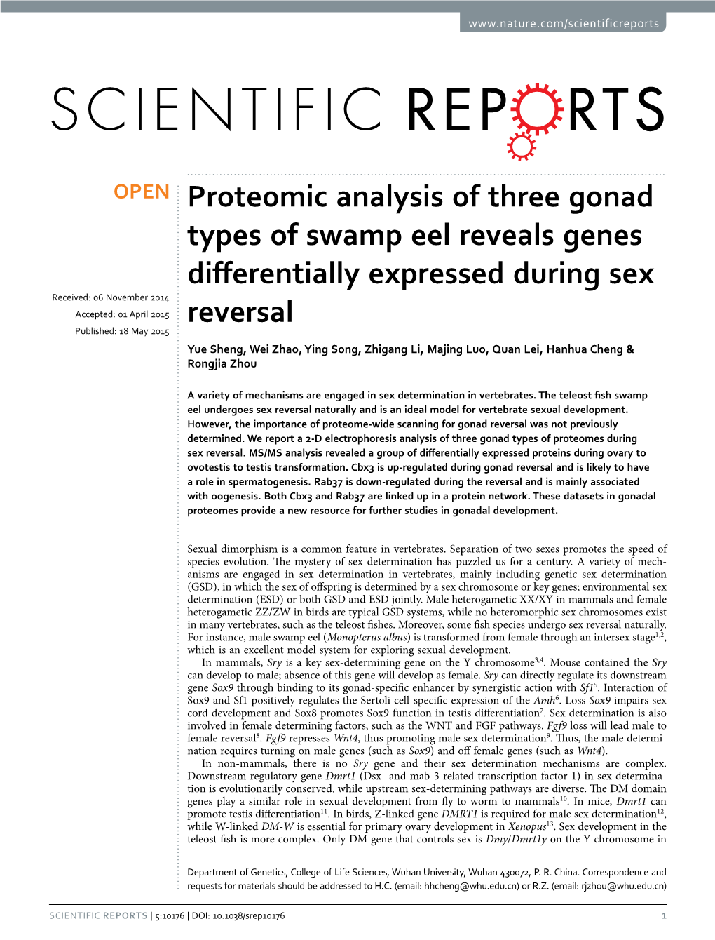 Proteomic Analysis of Three Gonad Types of Swamp Eel Reveals Genes