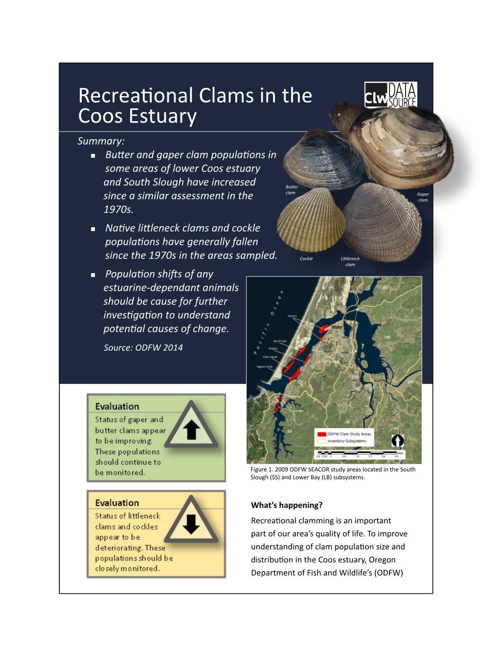Recreational Clams in the Coos Estuary Summary: „„ Butter and Gaper Clam Populations in Some Areas of Lower Coos Estuary