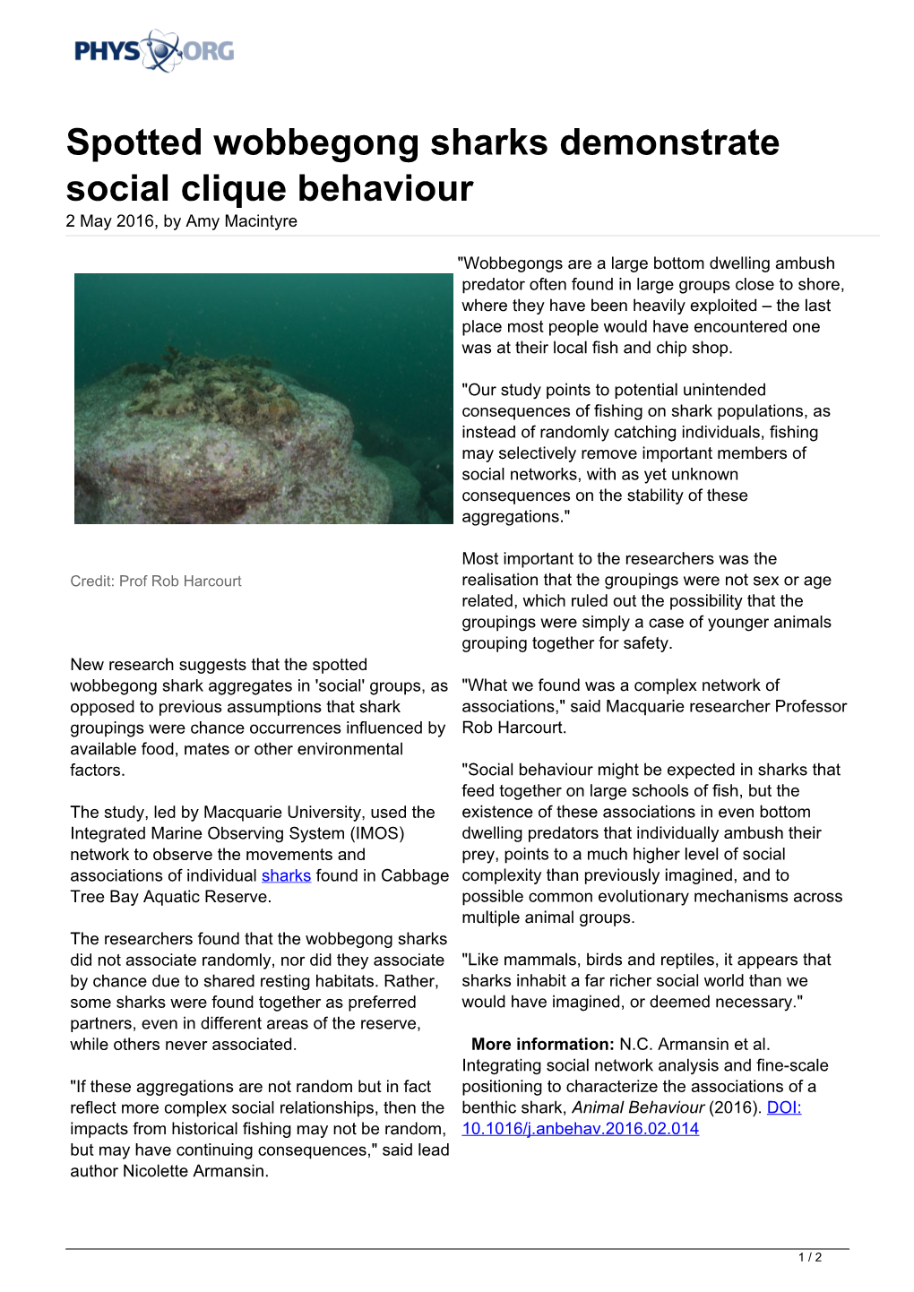 Spotted Wobbegong Sharks Demonstrate Social Clique Behaviour 2 May 2016, by Amy Macintyre