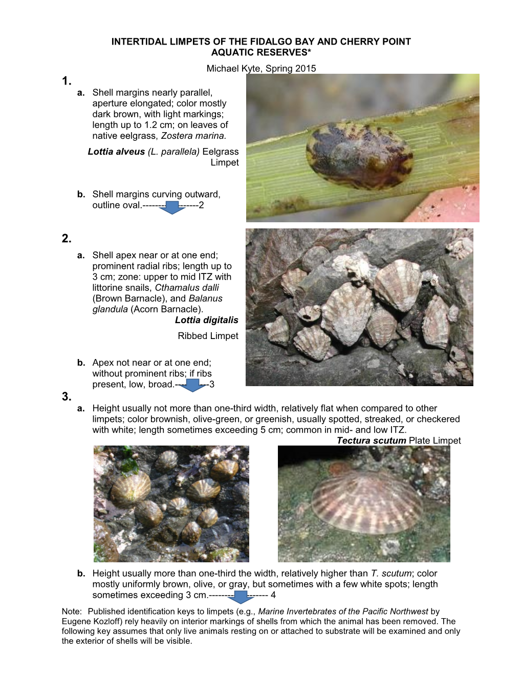 INTERTIDAL LIMPETS of the FIDALGO BAY and CHERRY POINT AQUATIC RESERVES* Michael Kyte, Spring 2015 1