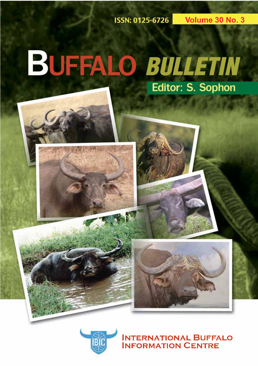 Buffalo Bulletin Vol.30 No.3