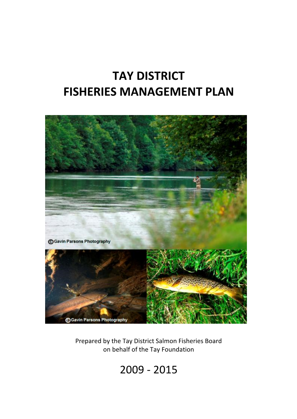 Tay District Fisheries Management Plan