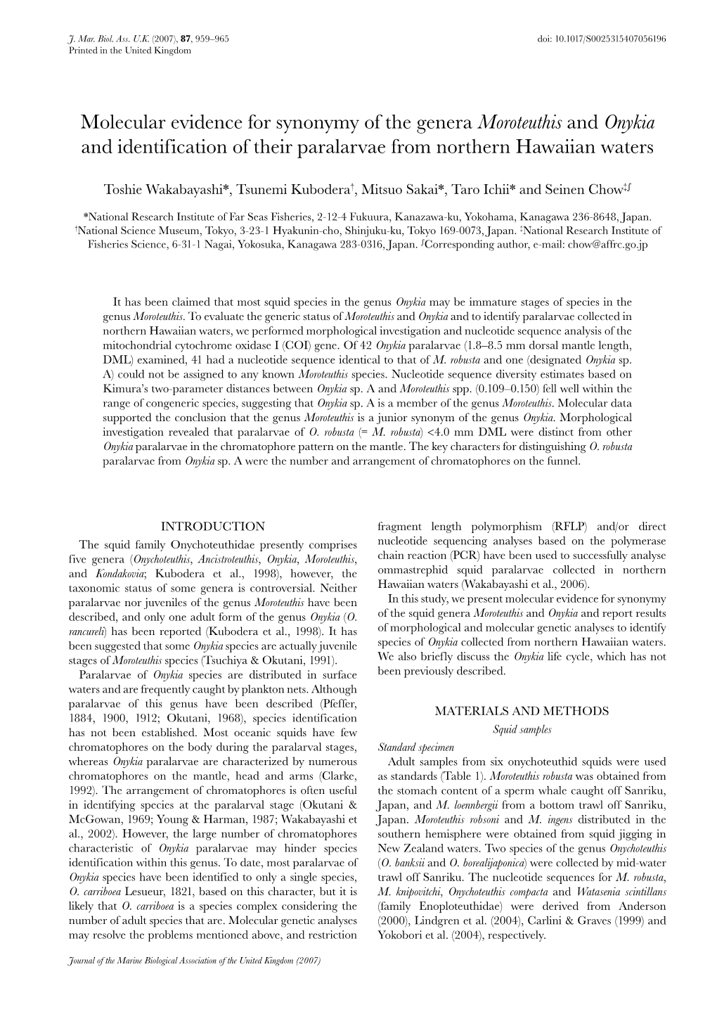 Onykia and Identification of Their Paralarvae from Northern Hawaiian Waters