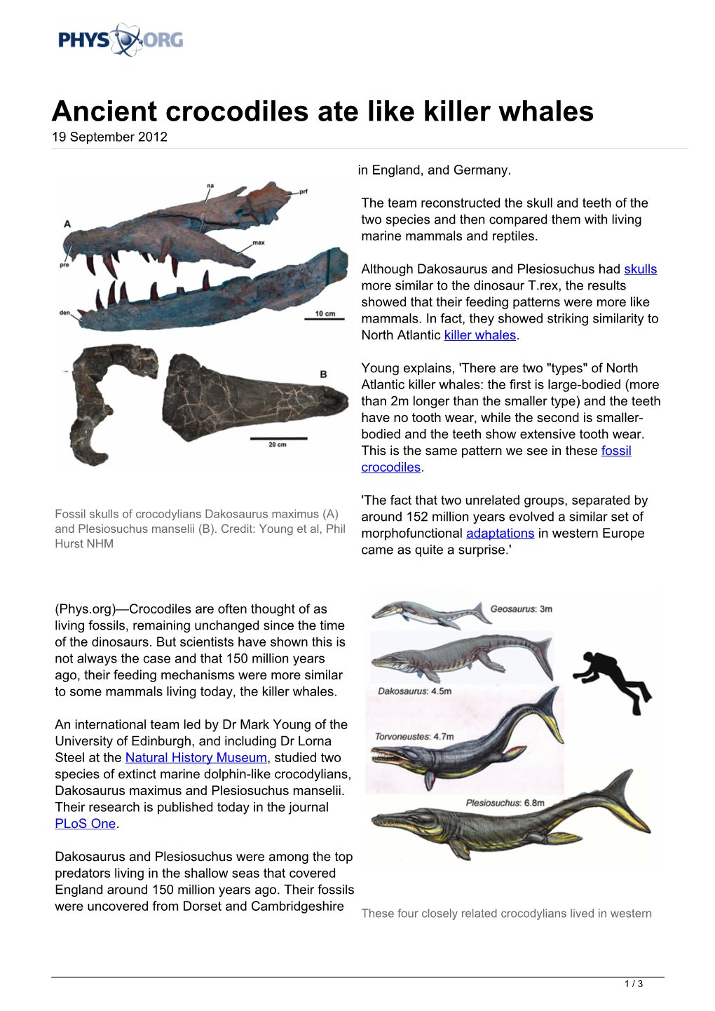 Ancient Crocodiles Ate Like Killer Whales 19 September 2012