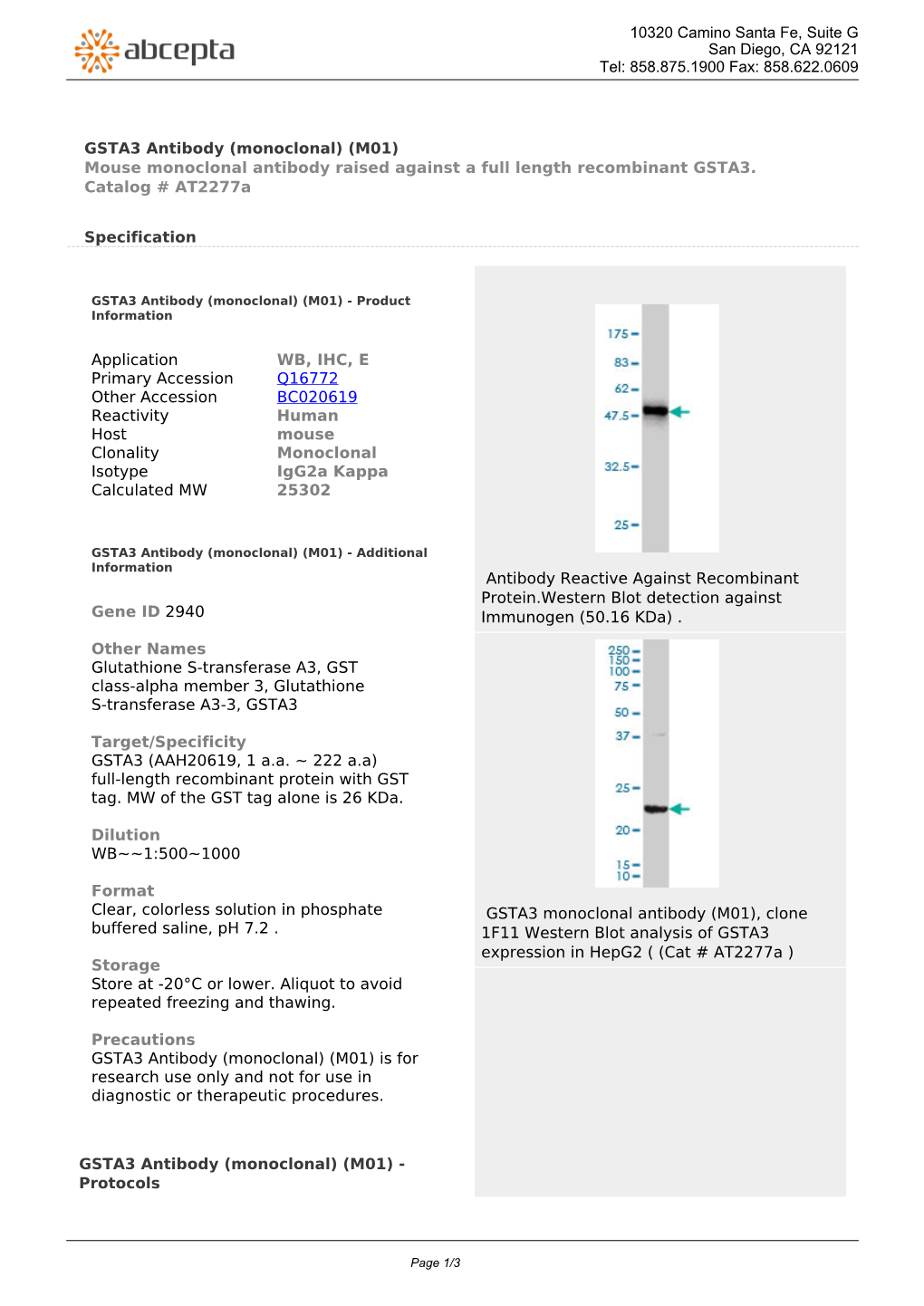 GSTA3 Antibody (Monoclonal) (M01) Mouse Monoclonal Antibody Raised Against a Full Length Recombinant GSTA3