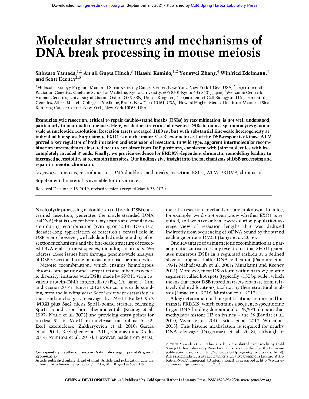 Molecular Structures and Mechanisms of DNA Break Processing in Mouse Meiosis