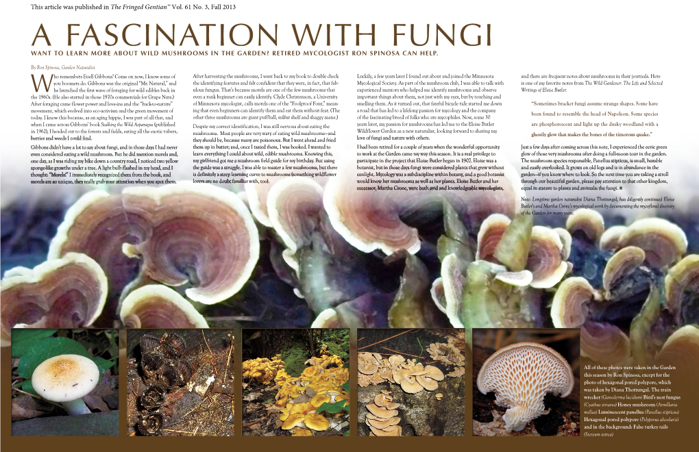 A Fascination with Fungi Want to Learn More About Wild Mushrooms in the Garden? Retired Mycologist Ron Spinosa Can Help