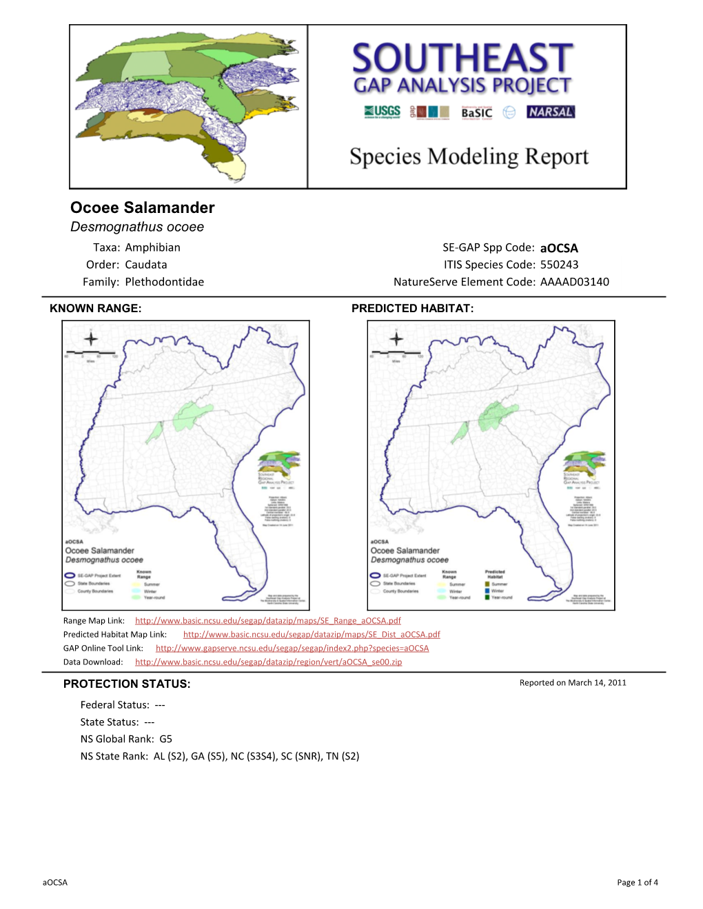 Ocoee Salamander