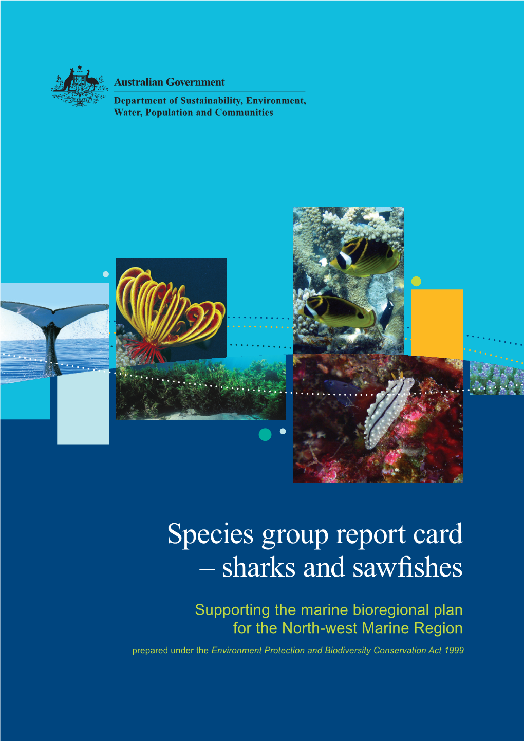 Species Group Report Card – Sharks and Sawfishes