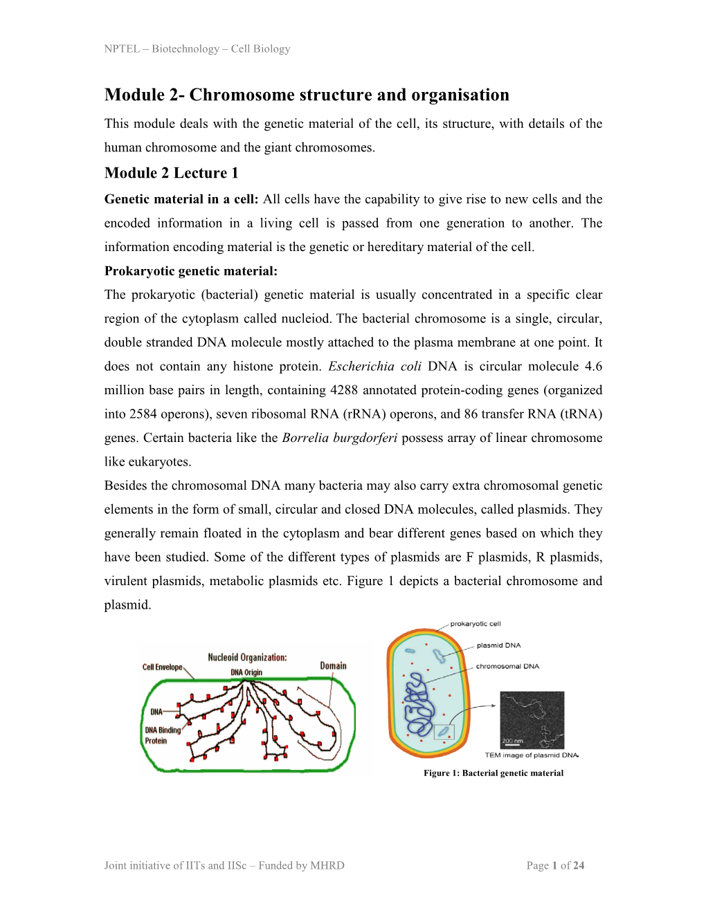 Chromosome Structure and Organisation