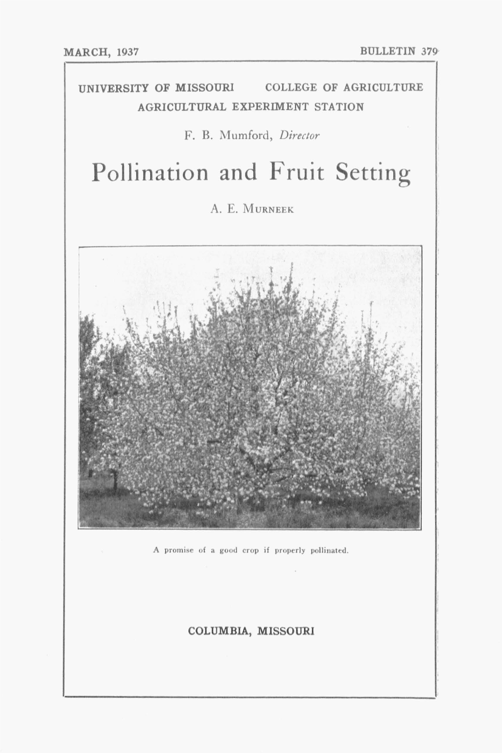 Pollination and Fruit Setting