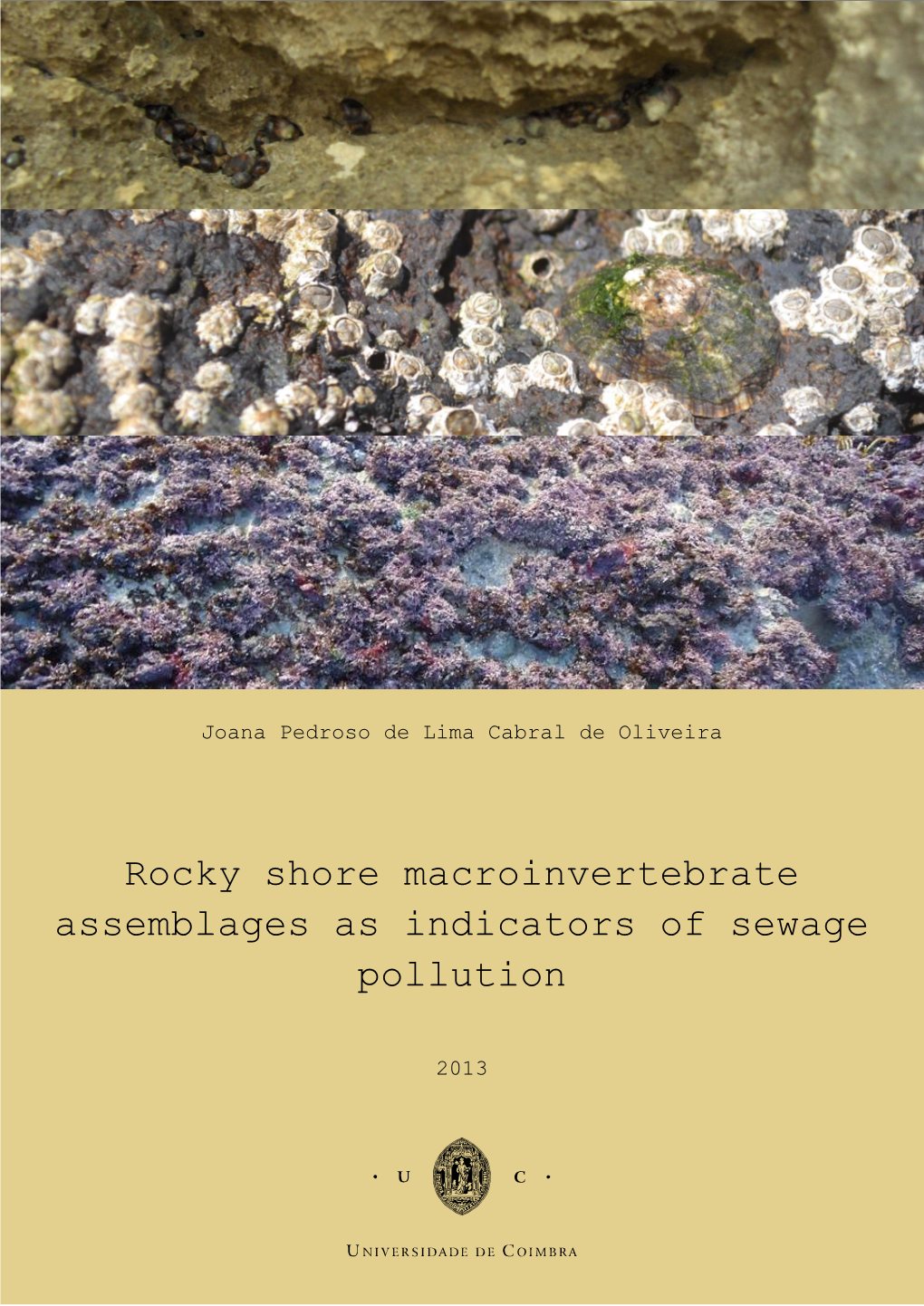 Rocky Shore Macroinvertebrate Assemblages As Indicators of Sewage Pollution