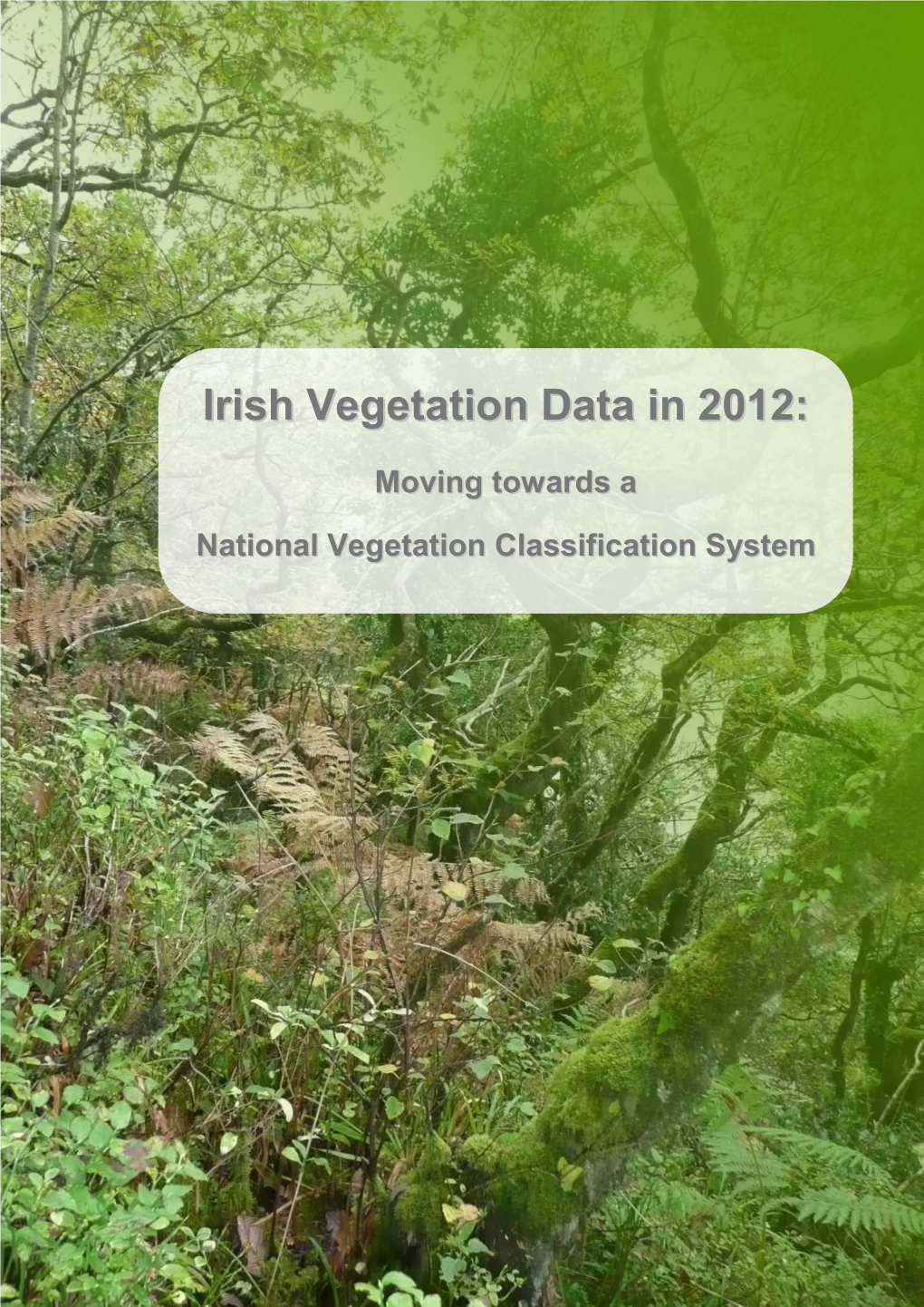 Nvd 2012 Report