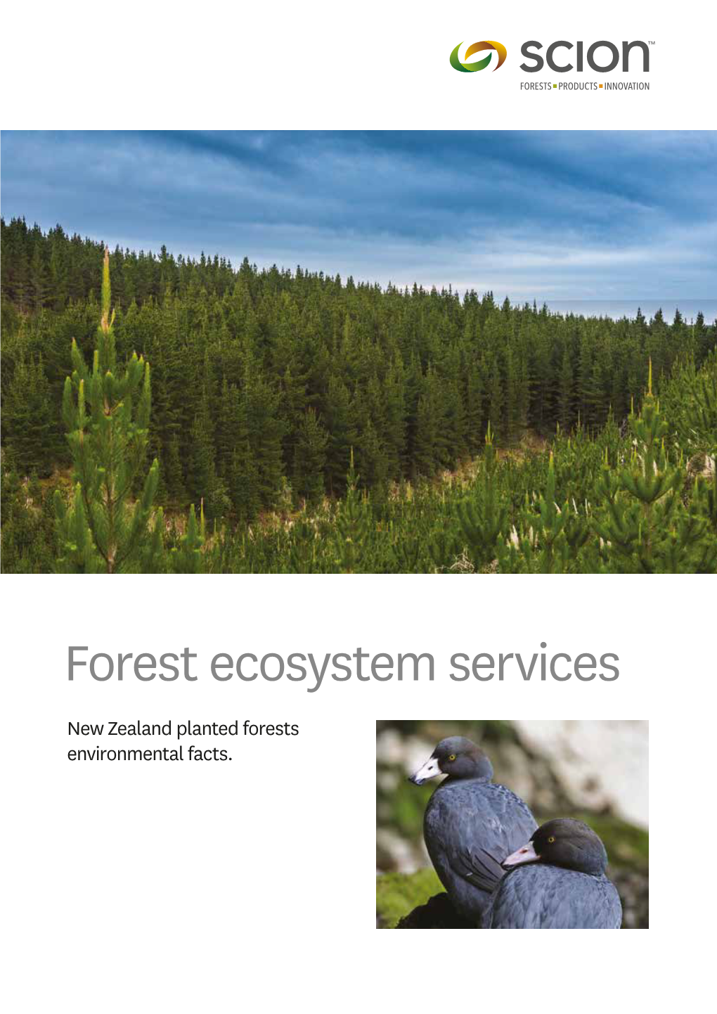 Forest Ecosystem Services